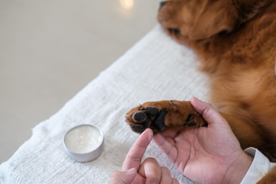 鼻部与足部护理膏